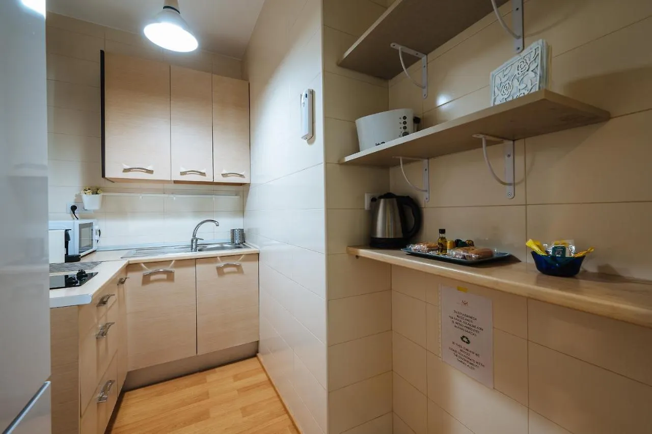 Apartamento Exclusivo Junto A La Catedral De Sevilla 0*, Seville Spain
